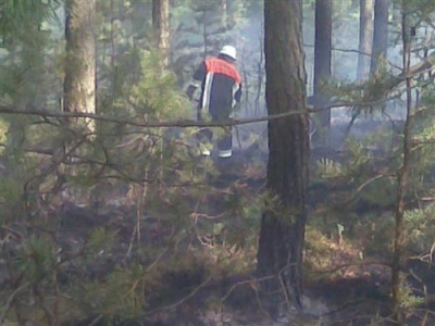 Waldbrand 16.04.2009_1