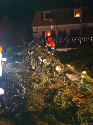Sturmschaden 05.12.2011_14