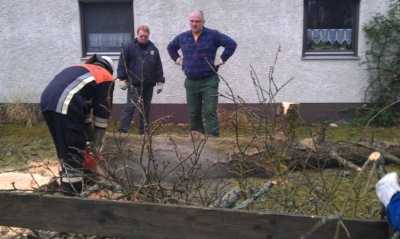 Baumfällarbeiten_11