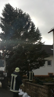 Christbaum für Kirche_9