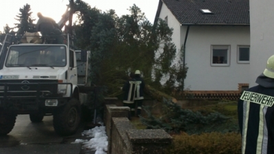 Christbaum für Kirche_10