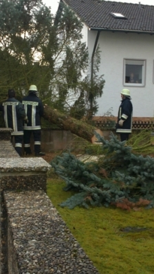 Christbaum für Kirche_11