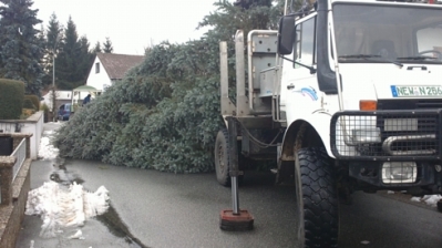 Christbaum für Kirche_13