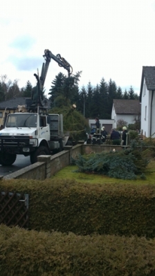 Christbaum für Kirche_15