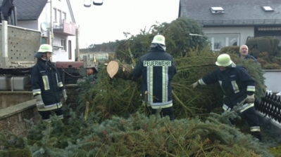 Christbaum für Kirche_17