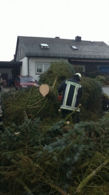 Christbaum für Kirche_18