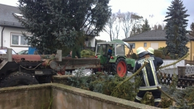 Christbaum für Kirche_20