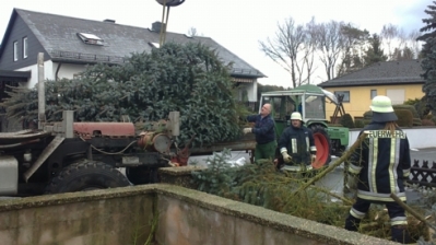 Christbaum für Kirche_21