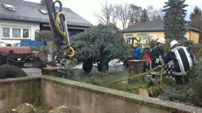 Christbaum für Kirche_22