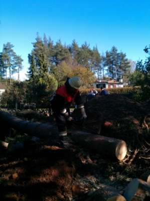 Baumfällarbeiten_20