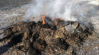 Feuerlöscherübung_32