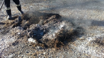 Feuerlöscherübung_39