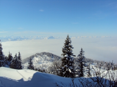 Skifahren Bayrisch Gmain_61