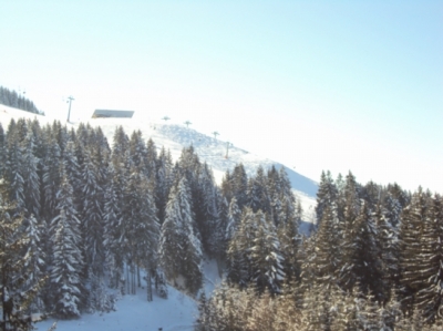 Skifahren Bayrisch Gmain_135