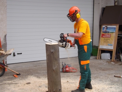 Motorsaegenkurs_Spannungsschnitte_39