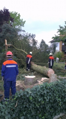 20130827_Umgang mit der Motorsäge_12
