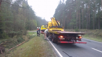 2014-04-10 PKW gg mehrere Bäume_12