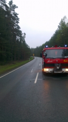 2014-04-10 PKW gg mehrere Bäume_13