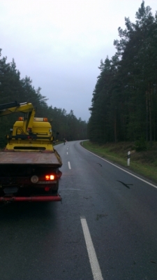 2014-04-10 PKW gg mehrere Bäume_14