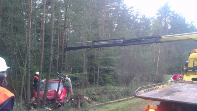 2014-04-10 PKW gg mehrere Bäume_15