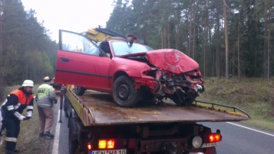 2014-04-10 PKW gg mehrere Bäume_18